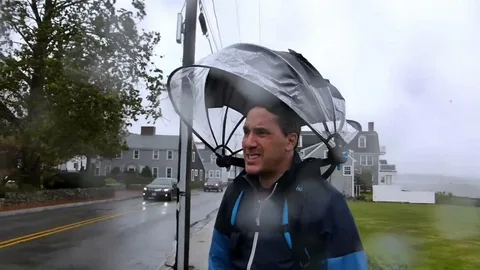 Nubrella Shark Tank Net Worth 2025: The Complete Rise, Fall, and Legacy of a Revolutionary Umbrella